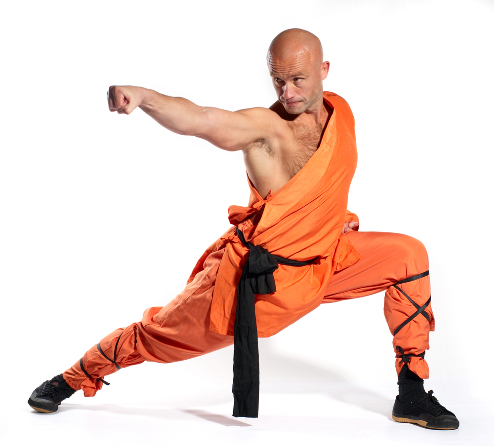 muay thai vs kung fu
